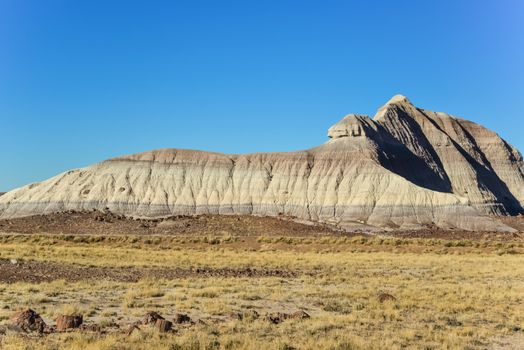 The trunks of petrified trees, multi-colored crystals of minerals. Petrified Forest National Park, Arizona