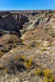 The Painted Desert on a sunny day. Diverse sedimentary rocks and clay washed out by water. Petrified Forest National Park, USA,  Arizona