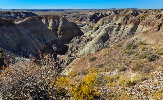 The Painted Desert on a sunny day. Diverse sedimentary rocks and clay washed out by water. Petrified Forest National Park, USA,  Arizona