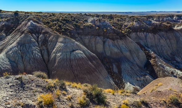The Painted Desert on a sunny day. Diverse sedimentary rocks and clay washed out by water. Petrified Forest National Park, USA,  Arizona