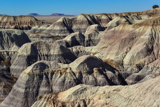 The Painted Desert on a sunny day. Diverse sedimentary rocks and clay washed out by water. Petrified Forest National Park, USA,  Arizona