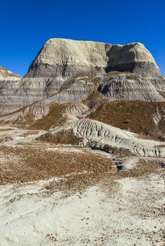 The Painted Desert on a sunny day. Diverse sedimentary rocks and clay washed out by water. Petrified Forest National Park, USA,  Arizona