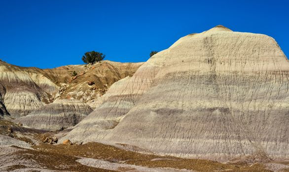 The Painted Desert on a sunny day. Diverse sedimentary rocks and clay washed out by water. Petrified Forest National Park, USA,  Arizona