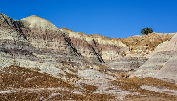 The Painted Desert on a sunny day. Diverse sedimentary rocks and clay washed out by water. Petrified Forest National Park, USA,  Arizona