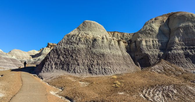 The Painted Desert on a sunny day. Diverse sedimentary rocks and clay washed out by water. Petrified Forest National Park, USA,  Arizona