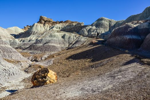 The Painted Desert on a sunny day. Diverse sedimentary rocks and clay washed out by water. Petrified Forest National Park, USA,  Arizona