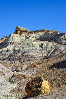 The Painted Desert on a sunny day. Diverse sedimentary rocks and clay washed out by water. Petrified Forest National Park, USA,  Arizona