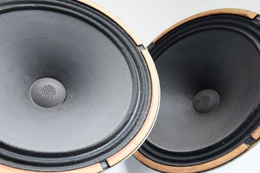 Antique Soviet woofer 5gd-3 from vintage acoustics Symphony.