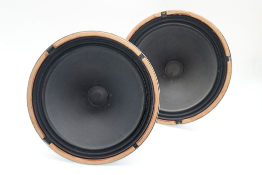 Antique Soviet woofer 5gd-3 from vintage acoustics Symphony.