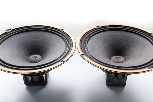 Antique Soviet woofer 5gd-3 from vintage acoustics Symphony.