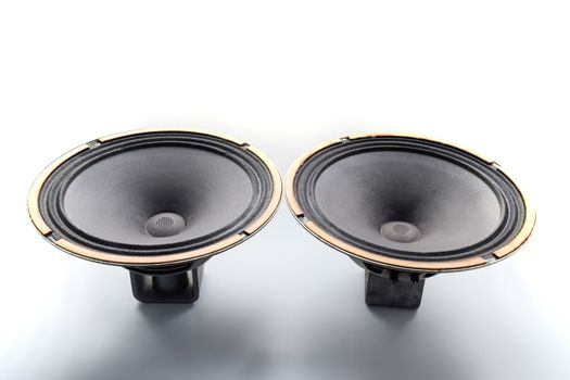 Antique Soviet woofer 5gd-3 from vintage acoustics Symphony.
