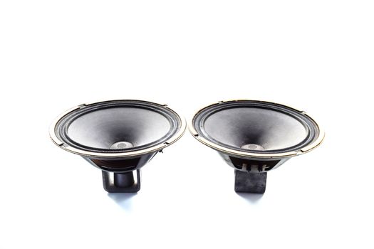 Antique Soviet woofer 5gd-3 from vintage acoustics Symphony.