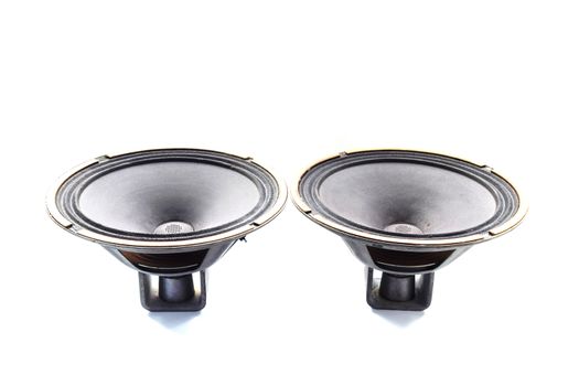 Antique Soviet woofer 5gd-3 from vintage acoustics Symphony.