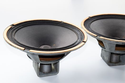 Antique Soviet woofer 5gd-3 from vintage acoustics Symphony.