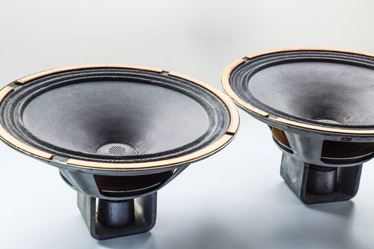 Antique Soviet woofer 5gd-3 from vintage acoustics Symphony.
