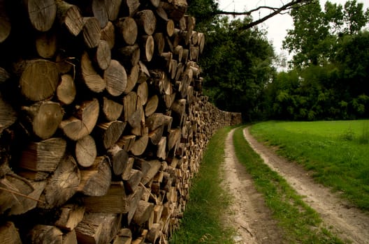 Logs waiting to be taken away by the side of a footpath in rural France