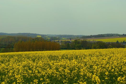 View of rural France in the Indre department