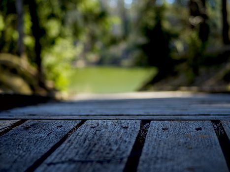 selective focus. wooden boardwalk near the lake surrounded by bare trees. Summer vacation background. Empty wooden pier with green lake in the background