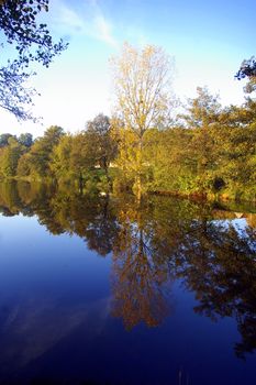 Tree-lined river in the Loire Valley, France