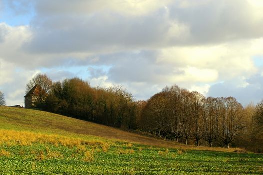 Fields and trees in the Indre department of France