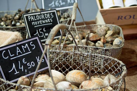 Clams on sale on a French market stall