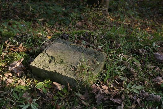 Broken tombstone lying in the grass and dead leaves