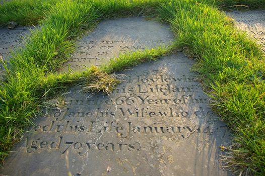 Tombstone embedded in the ground with tufts of grass growing through and around it