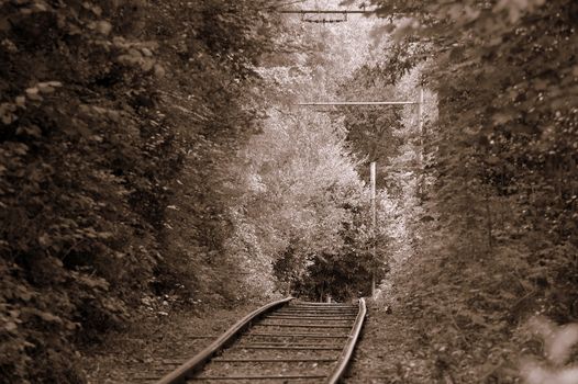 Tram tracks running through Heaton Park in Manchester