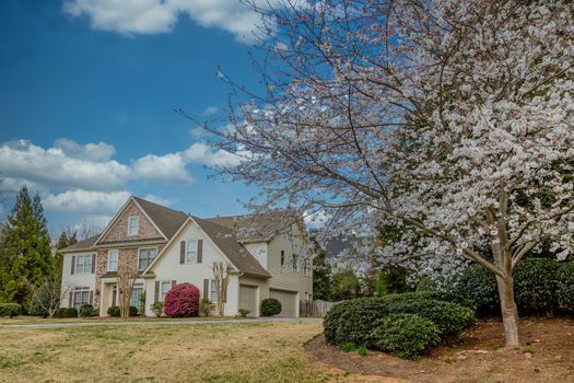 Modern stone and siding house with blooming cherry tree in yard