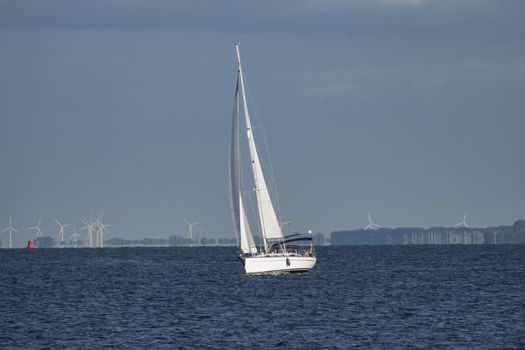 large sailing boat sailing on the Haringvliet in the Netherlands