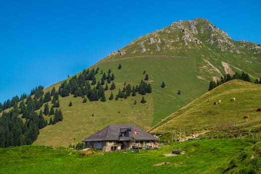 saletta,paccots,chapelle saint denis,swiss