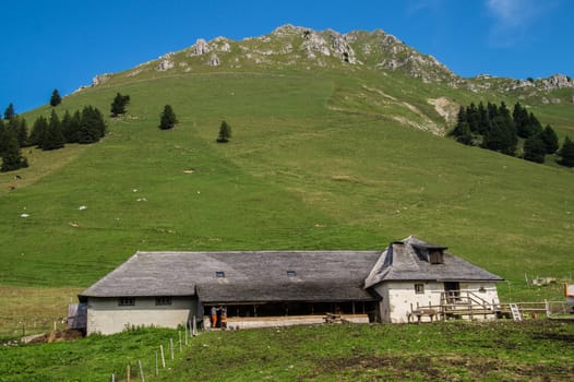 saletta,paccots,chapelle saint denis,swiss