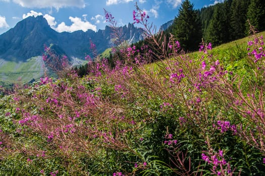 refuge nant borrant,comtamines,haute savoie,france