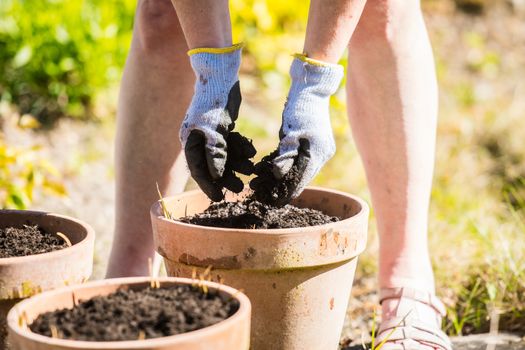 hands planting seeds in plant pots. Close-up of hands putting seeds in the ground.