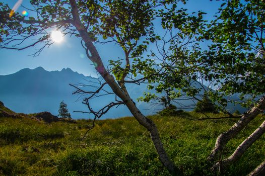 posettesz,chamonix,haute savoie,france