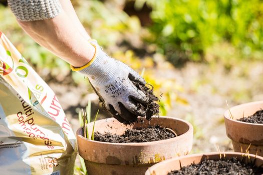 hands planting seeds in plant pots. Close-up of hands putting seeds in the ground.