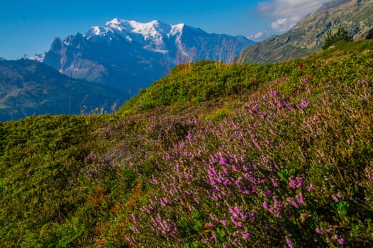 posettesz,chamonix,haute savoie,france