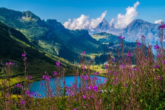 lake of vernant,swiss