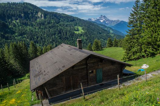 alpe of chaux,vaud,swiss