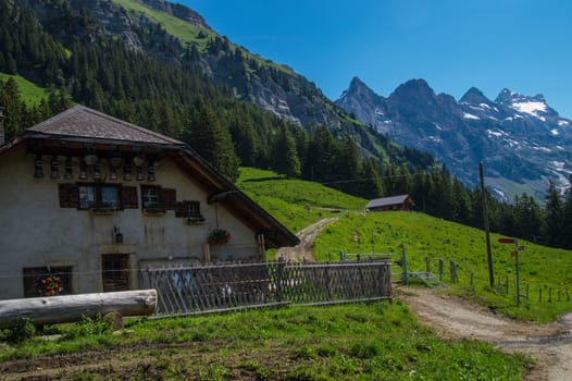 merine,alpe of chaux,vaud,swiss