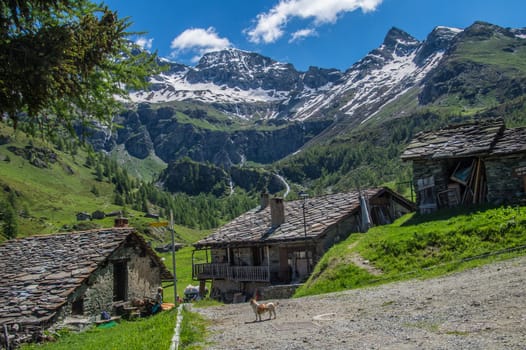 cheney,valtournenche,val of aosta,italy