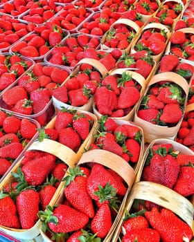 Strawberries in baskets of their birch. strawberries on the market for sale.