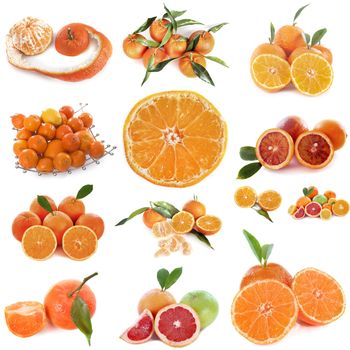 composite picture of citrus fruits in front of white background