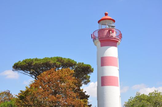 tourist site of La Rochelle, France. port and its surroundings