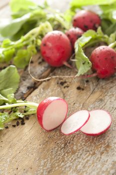 Farm fresh or homegrown radishes being sliced for salads still with a few scattered grains of soil on them