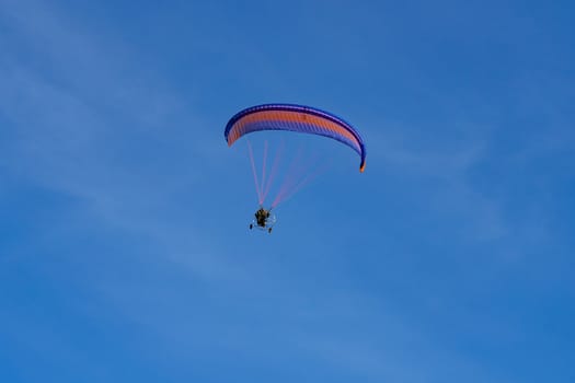 paraglider with a red-blue parachute flies against a cloudless blue sky