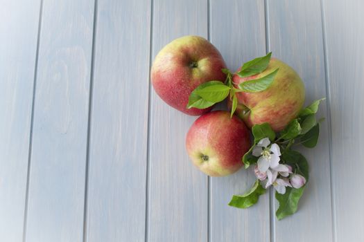 apples with leaf and flowers top view on a blue wooden background with copy space