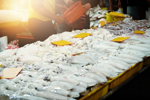 Fresh Market Seller, Squid Seafood Fresh Raw Food