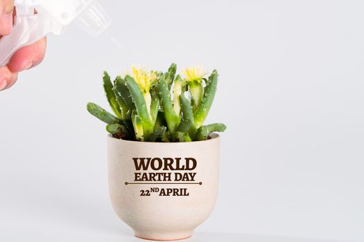 women hand drop the water to the little tree/cactus, water for life, world water day concept with copy space