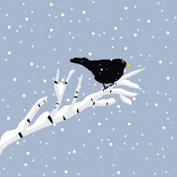 Blackbird on the branch at winter